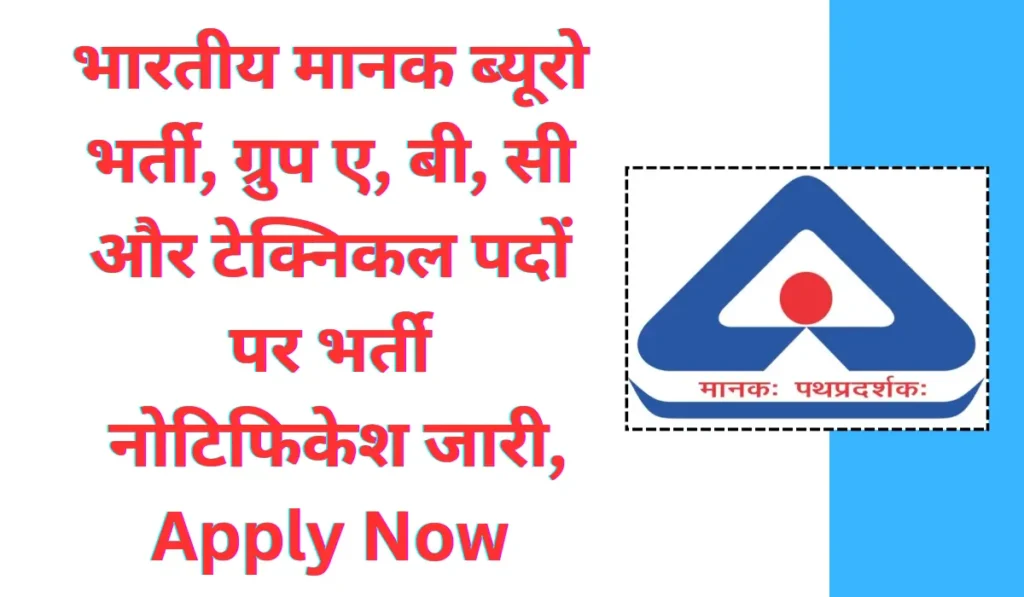 BIS Vacancy 2024